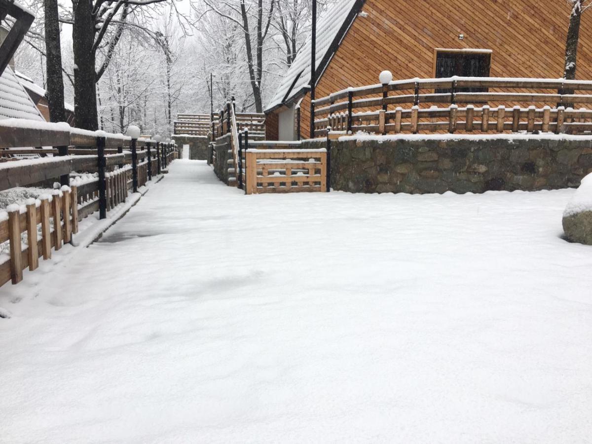 Meshtekna Villa Brezovica Exterior foto
